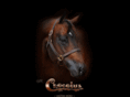 chocolua.com