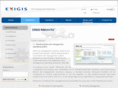 exigisriskworks.com