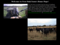 fernsinkfarm.com