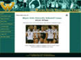 waynestatevolleyballcamps.com