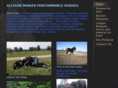 allisonparkerperformancehorses.com