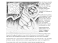 cianiart.com