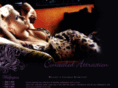 concealed-attraction.org