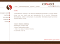 connectbusinessadvisory.com