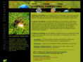 leapfrogconsulting.org
