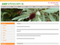 m-fields.net