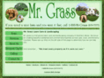 mrgrasslawncare.com
