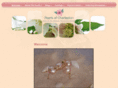 pearlsofcharleston.com