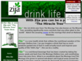 themiracletree.com