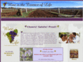 winescellarsandmore.com