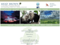 manuel-antonio-villa-vacation-rentals.com