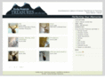 perfectingyourmemories.com