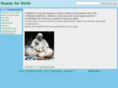 readyforbirth.com