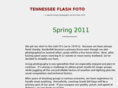 tnflash.com
