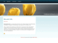 vistaseminars.com