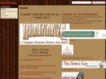 brainanza.com