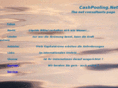 cashconcentrating.com