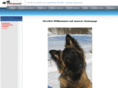 hundeschule-step-by-step.info