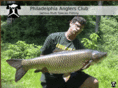 philadelphiaanglersclub.com
