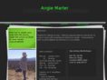 angieyoga.com