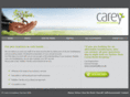 careyaccountancy.com