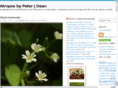 peterjdean.com