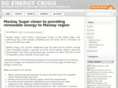 sgenergycrisis.com