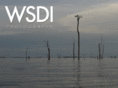 wsdiphotography.com