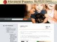 championhavanesepuppies.com