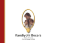 kandiyohiboxers.info