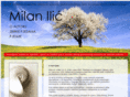 milan-ilic.net