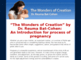 processofpregnancy.com