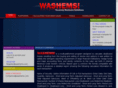 washems.com