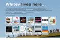 andrewwhitehead.com.au