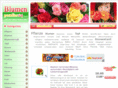 blumenparadies24.com