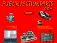 fuelinjectionparts.com