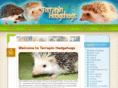 mdhedgehogs.com