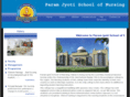paramjyotischoolofnursing.com