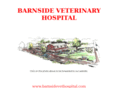 barnsideanimalhospital.com