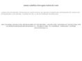calefaccion-gas-natural.com