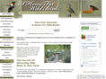 the-backyard-birder.com