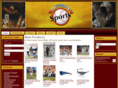 yazsports.com