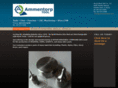 ammentorptool.com