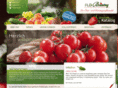 fldbrueninggmbh.com
