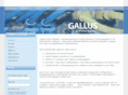 gallus-electric.com