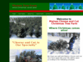mainestreefarm.com