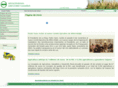 aragasaja.com