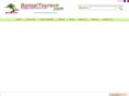 bonsaitoursvn.com
