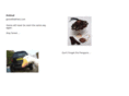 goosefeatherz.com