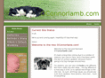 oconnorlamb.com